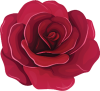 rose-head02 little way charity rose